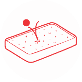 Coirfit memo spa mattress