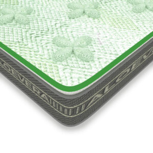 natural aloevera mattress