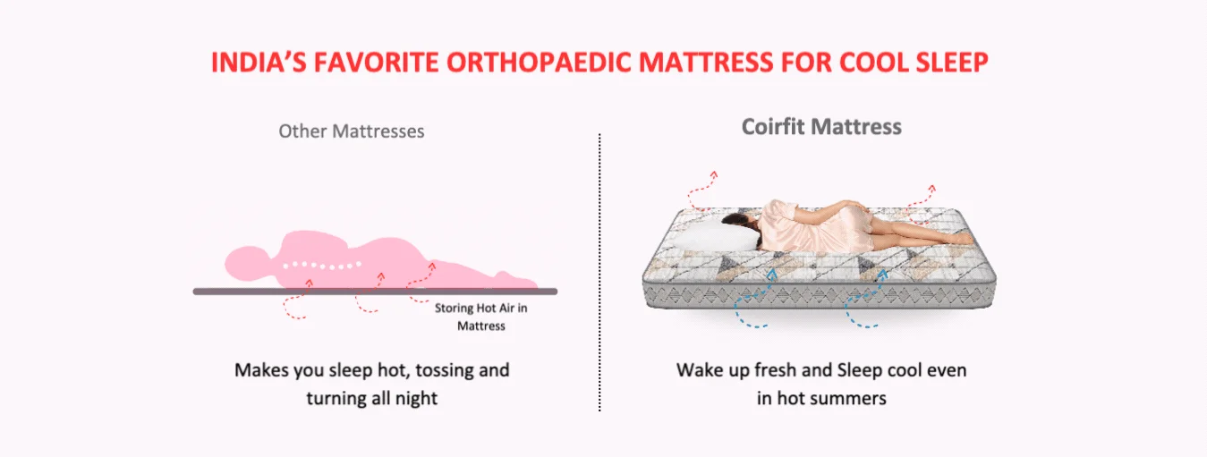 1349 x 511 naturefresh