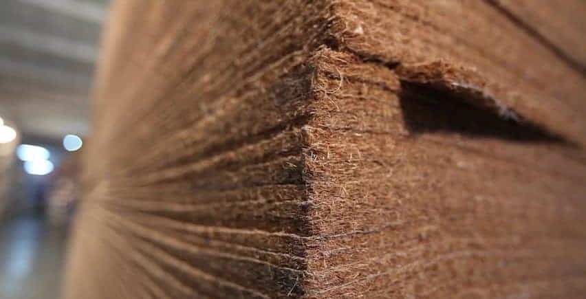 Coir Mattress