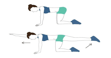 Arm and Leg Raise Exercise