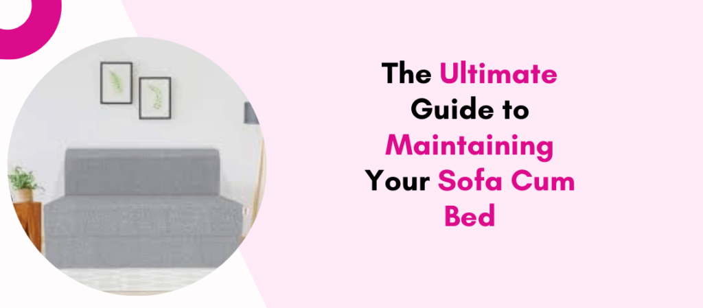 The Ultimate Guide to Maintaining Your Sofa Cum Bed The Ultimate Guide to Maintaining Your Sofa Cum Bed