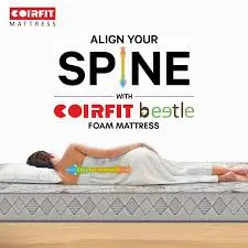 Spine Alignment