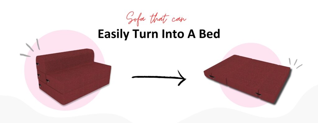 Coirfit Sofa cum bed mattress